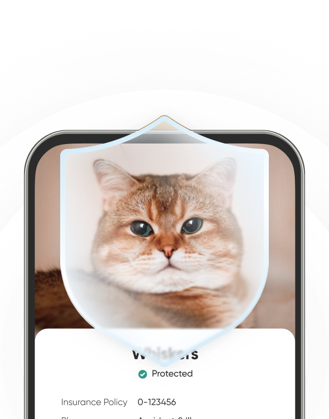 Pet Insurance Product